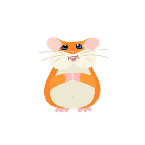 Funny Of Hamsters Background Illustrations Royalty Free Vector
