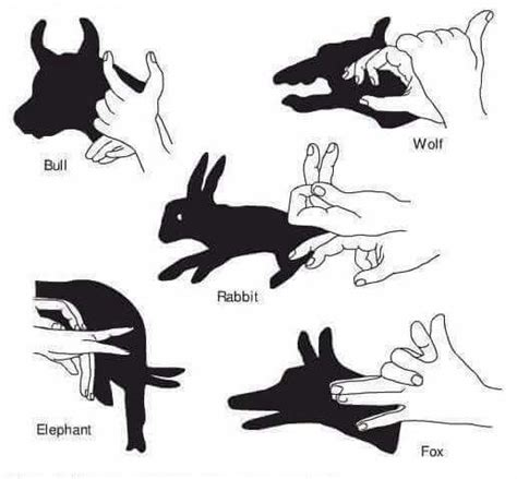 Ombres Chinoises Hand Shadows Shadow Puppets With Hands Shadow Art