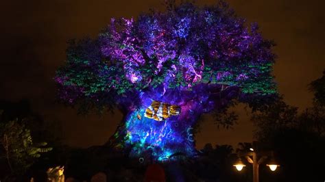 Tree Of Life Awakenings New Nighttime Projection Mapping Show At