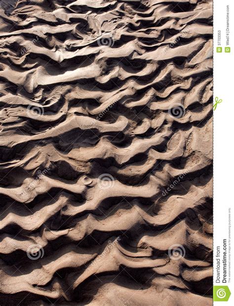 Frozen And Dried Up River Bed In Sunlight Stock Image Image Of Sludge