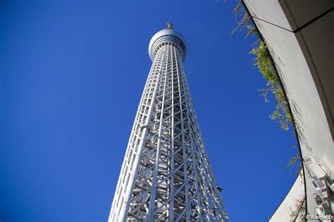 Tokyo Skytree La Tour Phénomène La Plus Haute Du Japon