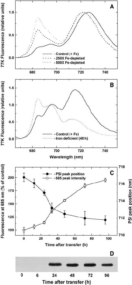 A Fluorescence Emission Spectra At 77 K Of Iron Sufficient Solid