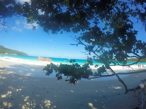 Anse Aux Pins Beach Mahé Seychellerna Omdömen