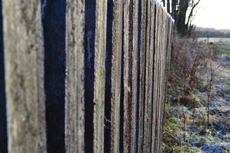 Free Images Winter Wood Frost Trunk Wall Material Rails The