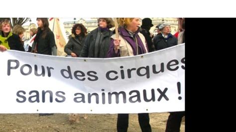 Pétition · Interdiction Des Cirques Avec Animaux Sur La Commune De
