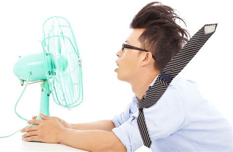 Beat The Summer Heat With These Electric Fans On Sale Right Now
