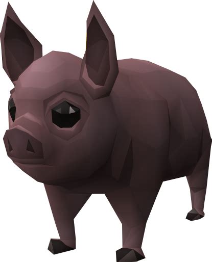 Pigzilla Pig The Runescape Wiki