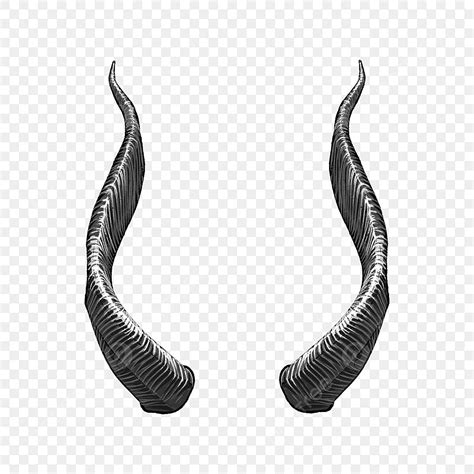 Devils Horn Png Vector Psd And Clipart With Transparent Background
