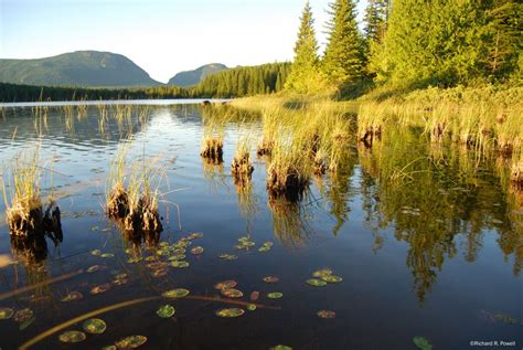 100 Lakes On Vancouver Island Goose Lake