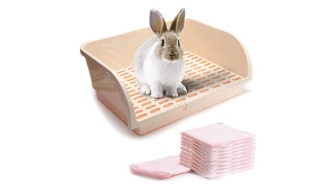 Best Rabbit Litter Box Keep Your Pet And Your Home Clean Petsradar