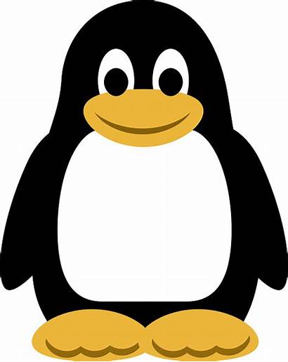 Penguin Linux Vector Animal Clip Clipart Penguins