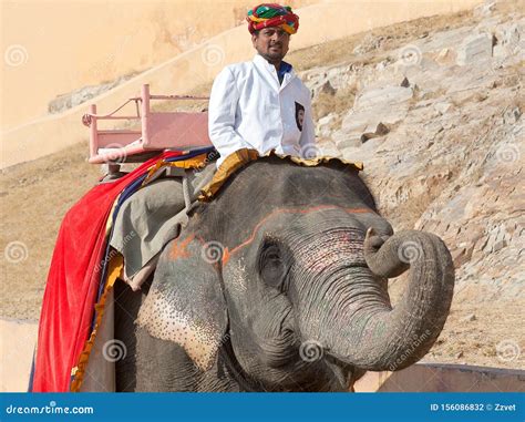 Indian Man Riding On Elephant In Amber Fort Rajasthan State India
