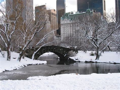 Selecting the correct version will make the new york city snow wallpaper app work better, faster, use less battery power. new york snow wallpaper 2017 - Grasscloth Wallpaper