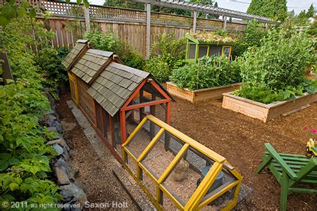 If you are just hearing about it, then you should check it out here. Backyard farm design ideas - Design Ideas