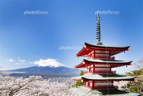 富士山と桜と五重塔（新倉山浅間公園） 写真素材 5708343 フォトライブラリー Photolibrary
