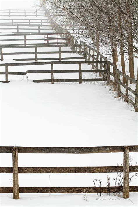 Snowy Horse Corrals In Ice Fog Photograph By Gordon Wood