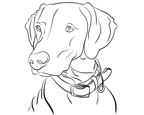 Dog Line Art Pet Line Drawing Custom Line Art Single Line Etsy