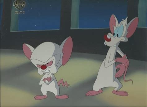 Pinky and the brain is an american animated television series that aired on kids' wb from 1995 to 1998. Pinky and the Brain Grumpy