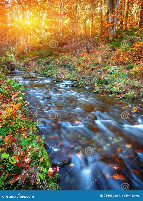 Rapid Mountain River In Autumn Stock Photo Image Of Flare Extreme
