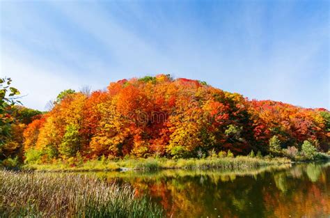 Mesmerizing View Of Autumn Forest In The Lake Landscape Scenery Sunny