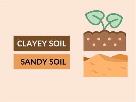 Difference Between Clayey Soil And Sandy Soil Diferr