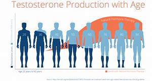 Testosterone Levels Testosterone Test Bodylogicmd