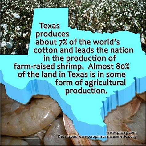 17 Best Images About Texas Facts On Pinterest The Two Trucks And Fun
