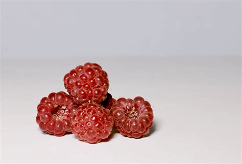 Free Images Raspberry Fruit Berry Flower Petal Pattern Food