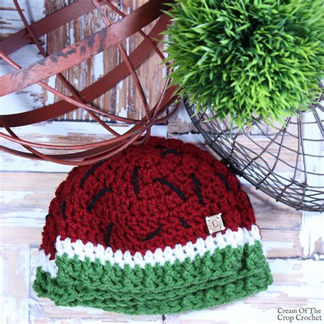 Ravelry Watermelon Hat Pattern By Cream Of The Crop Crochet