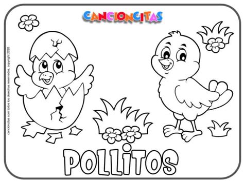 Dibujo De Pollito Para Colorear Dibujos Infantiles De Pollito Pollitos
