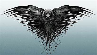 Thrones Raven Desktop Wallpapers Backgrounds