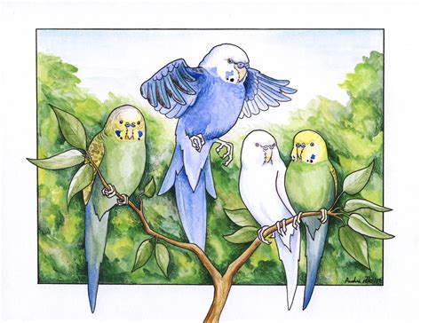 Budgies By Sesroh On Deviantart