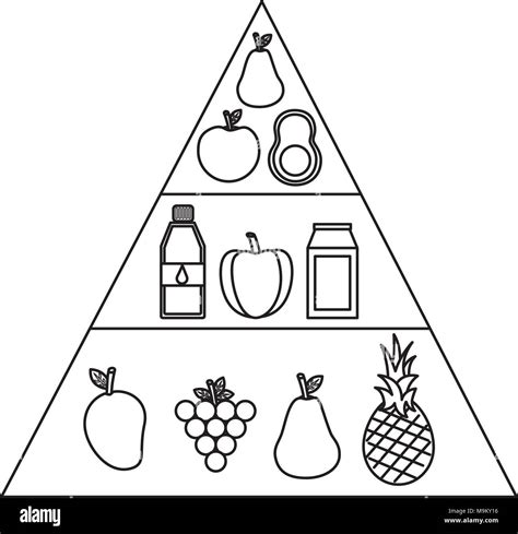 Healthy Food Pyramid Water Imágenes Vectoriales De Stock Alamy