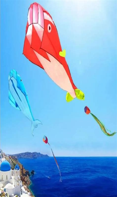 New Cute Huge Outdoor Fun Sports Single Line Software Dolphin Whale Kite Flying High Quality