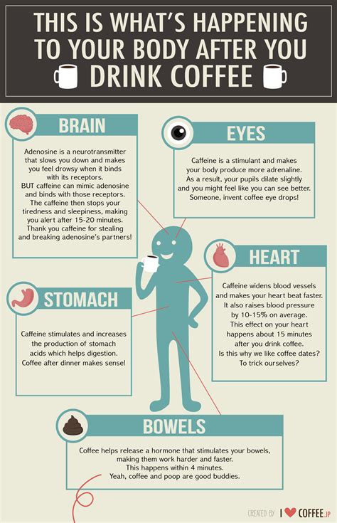From a metabolic perspective, energy refers to the power that enables your cells to perform the work of living. Infographic: What Happens To Your Body After Drinking Coffee - DesignTAXI.com
