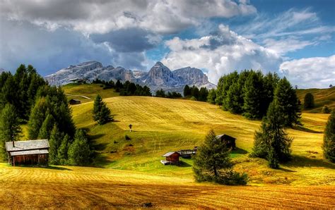 Immagini Belle Albero Erba Natura Selvaggia Nube Cielo Campo