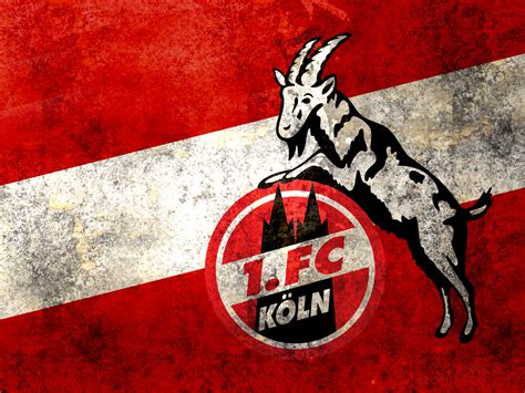 Fc köln ist der größte sportverein in köln. 1. FC Köln #004 - Hintergrundbild