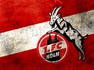 1. FC Köln #004 - Hintergrundbild