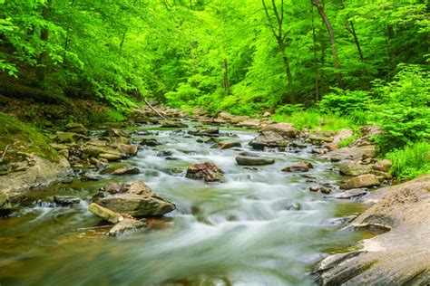 Flow of Information: Surveying the Health of Maryland Streams