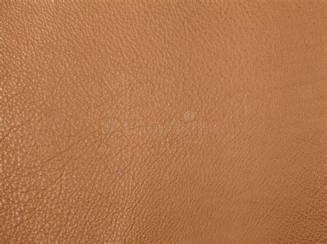 Light Brown Leather Texture Background Stock Image Image Of Style