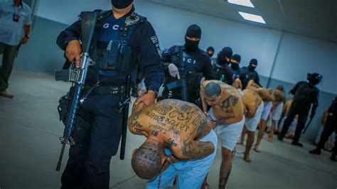 el salvador thousands of gang members transferred to mega prison world news sky news