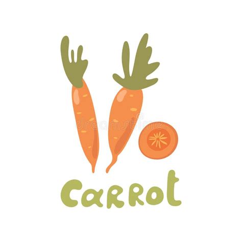 Sliced Carrot Stock Vector Illustration Of Organic Diet 20452270