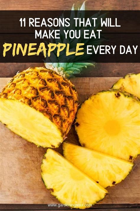 11 Reasons That Will Make You Eat Pineapple Every Day Pineapple