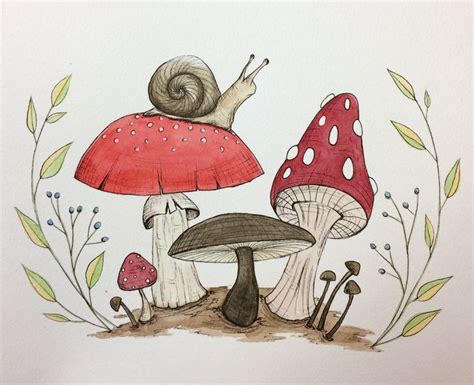 Image Result For Watercolor Mushroom Mushroom Art Drawings Illustration Art