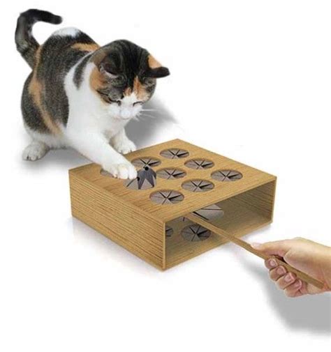Whack A Mole Game For Cats Cats Diy Cat Toys Cat Toys Cats