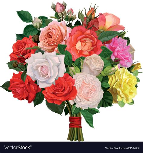 Bouquet Of Colored Roses Royalty Free Vector Image
