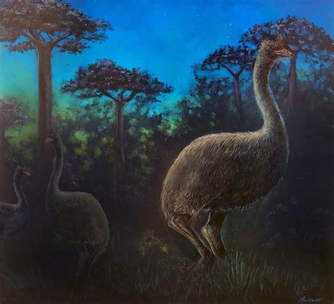 The Largest Birds Ever To Walk The Earth May Have Been Practically