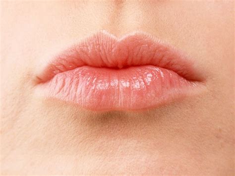 Female Lips Album 794 Female Lips Lips Female