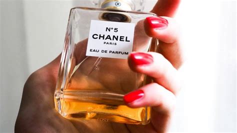 Los Mejores Perfumes De Mujer 2023 ¿cuál Elegir