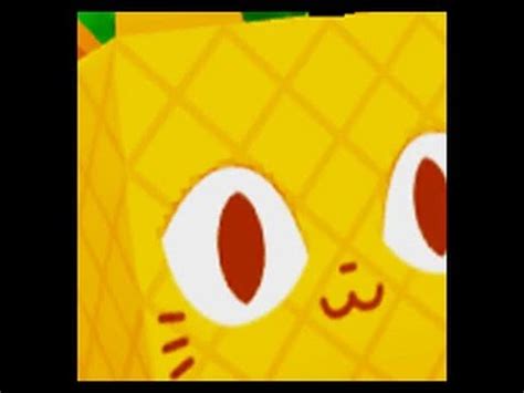 Hatched Golden Huge Pineapple Cat Pet Simulator X Youtube